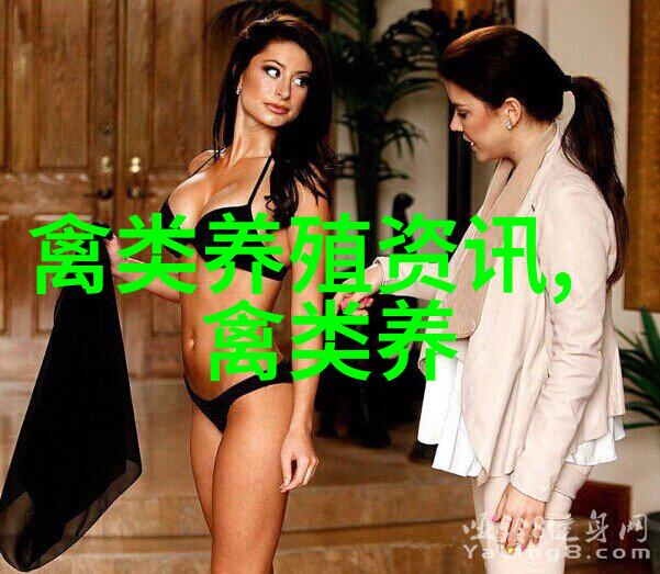 龙岩上杭南阳一对夫妇引进稀有珍珠鸡
