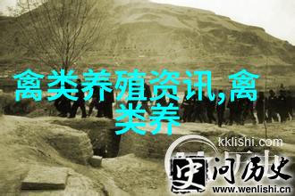 鸽子蛋的营养价值