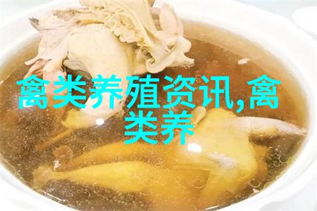 黑鸡是乌鸡吗