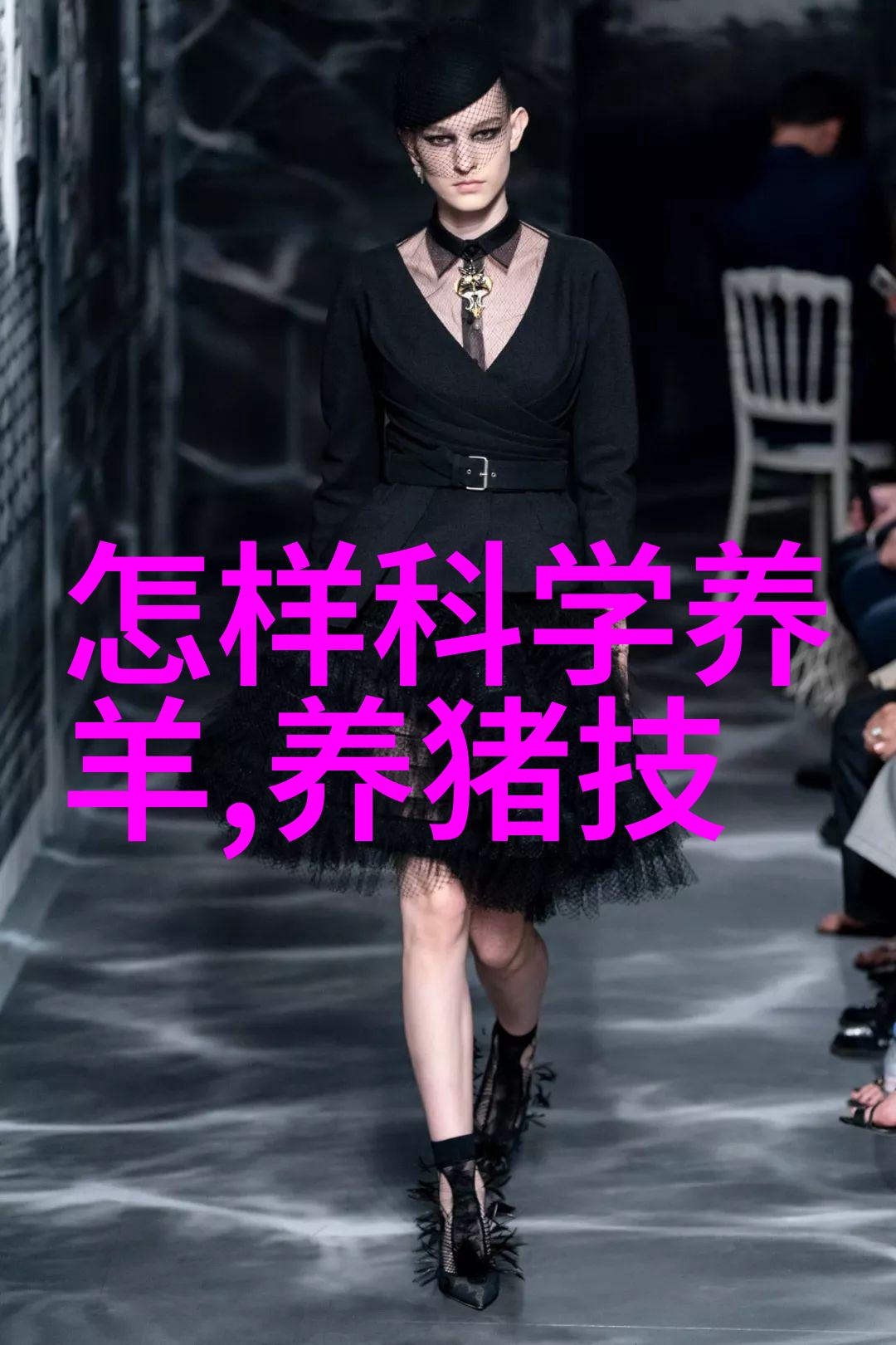 提高奶牛繁殖力的技术要点
