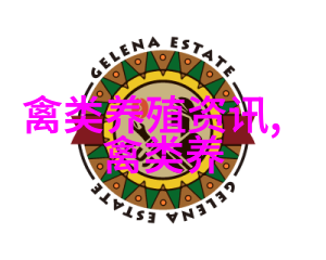 鹌鹑的营养惊人