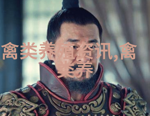 鹌鹑养殖的准备工作