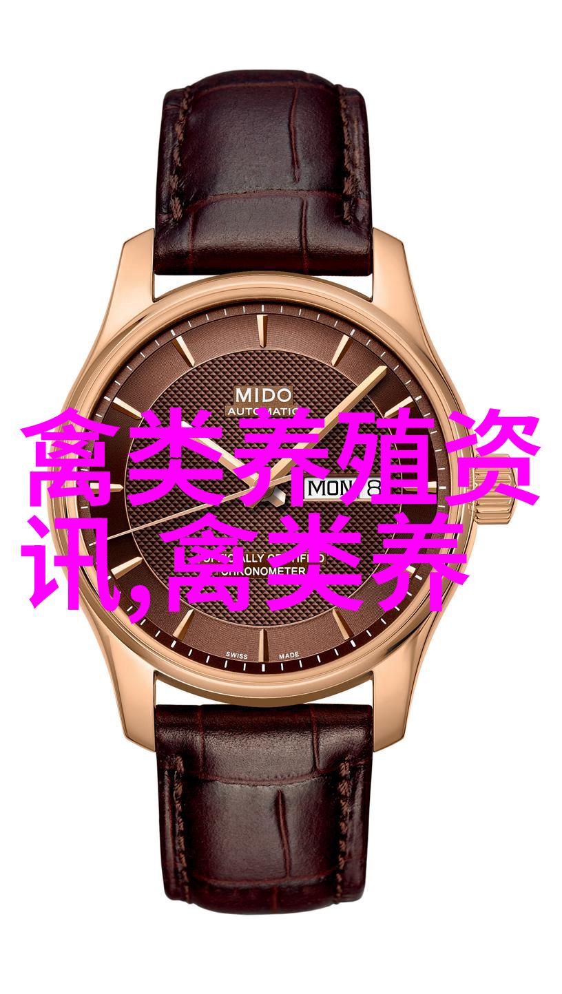 青海乐都绿壳蛋鸡开启致富路