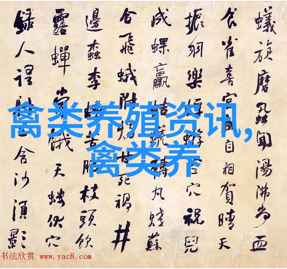 鸽子汤的介绍