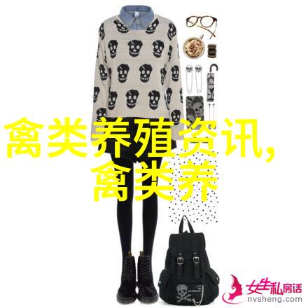 都市养鸽子人要快乐更要文明